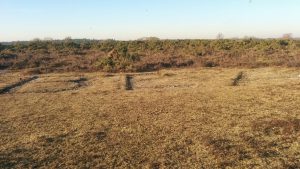 east-boldre-beaulieu-letters2-20jan17