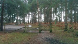 turfcutters-arms-5mls-forest-walk-hawkhill-3