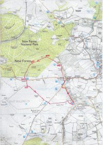 turfcutters-arms-5mls-forest-walk-map