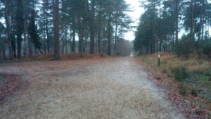 turfcutters-arms-5mls-forest-walk-rans-wood-left-to-hawkhill